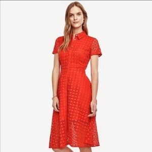 Ann Taylor Orange Eyelet Dress
